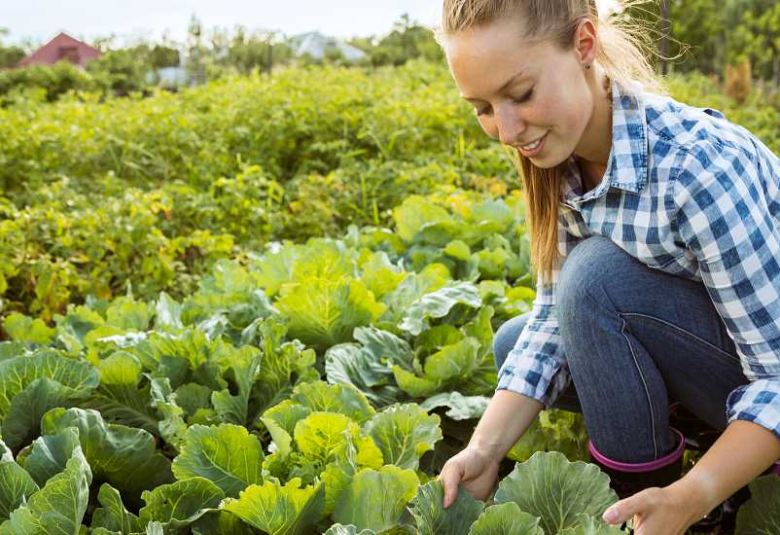 Che cos'è l'agricoltura biologica e perché è più genuina
